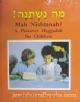 93697 Mah Nishtanah?: A Passover Haggadah for Children